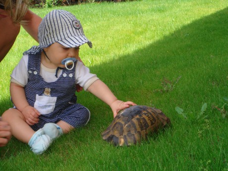 Magic-Life 038-1.jpg